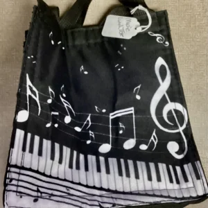 Mini Insulated Music Bag